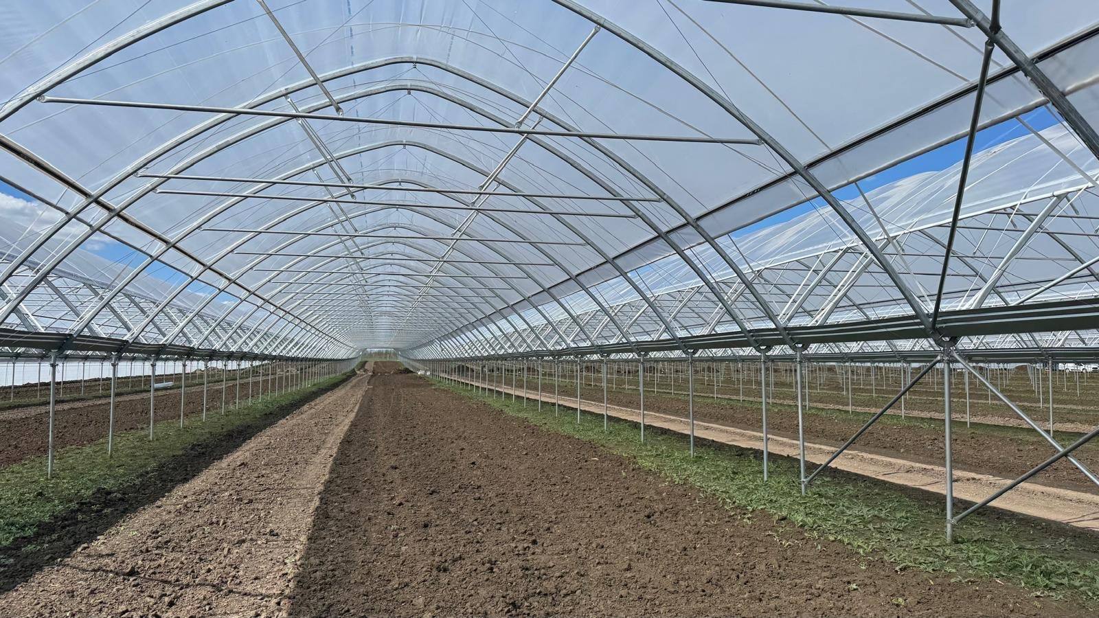 Wnętrze nawy tunelu zblokowanego z folią i rzędem nóg