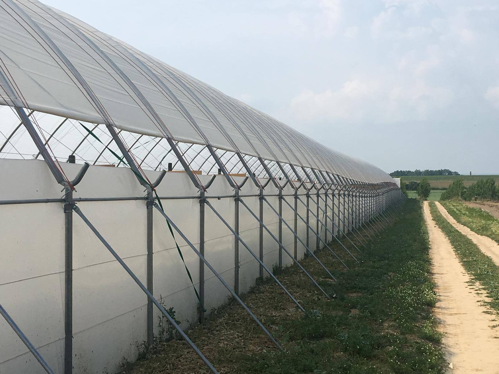 Długa ściana boczna tunelu foliowego z nogami, łącznikami Y i zastrzałami