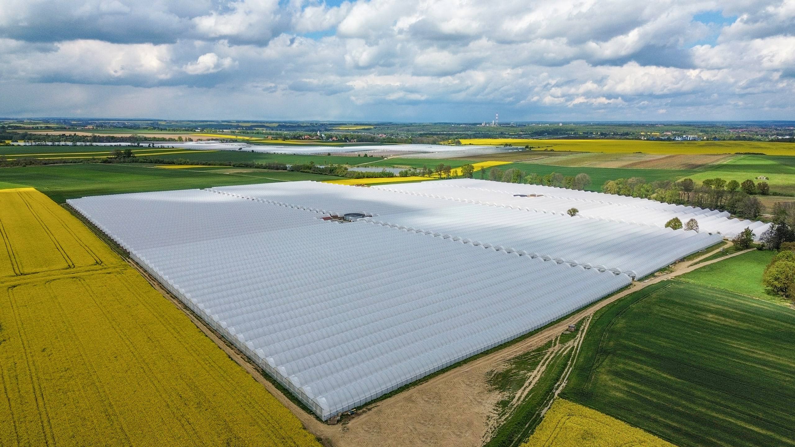 Blok tuneli zblokowanych Progress Tunnels z lotu ptaka, wśród pól rzepaku