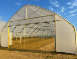 chat-zulta chat-zulta