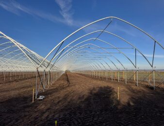 multi-strona-www multi-strona-www